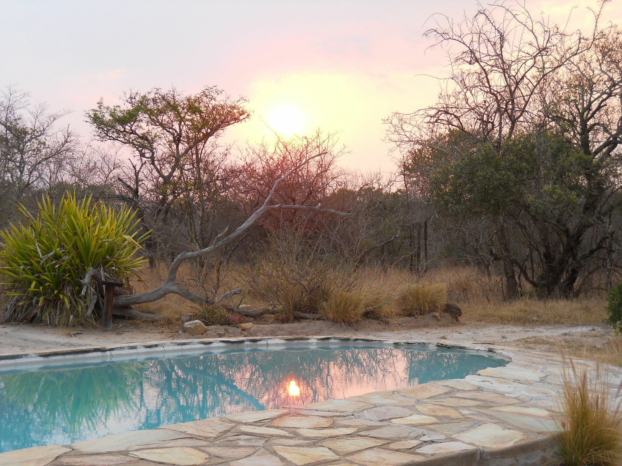 Maduma Boma Game Conservancy Hoedspruit Kültér fotó